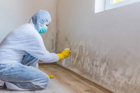 Why You Should Choose Our Mold Remediation Services in Rainbow Springs, FL